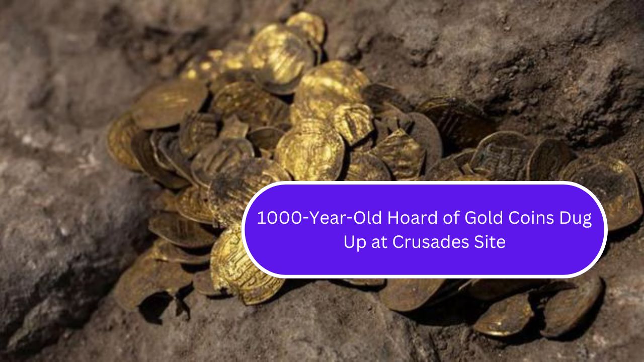 1000-Year-Old Hoard of Gold Coins Dug Up at Crusades Site