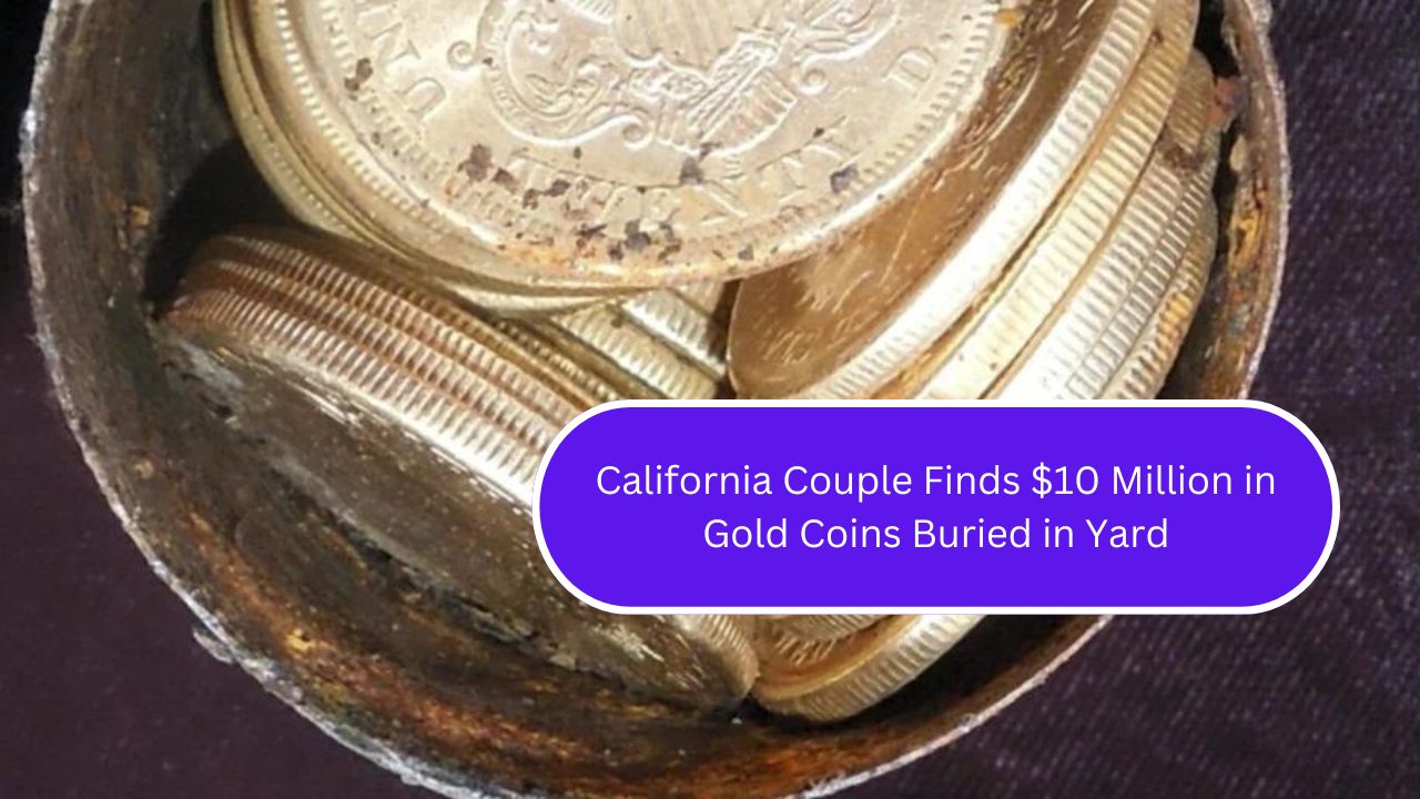 California Couple Finds $10 Million in Gold Coins Buried in Yard