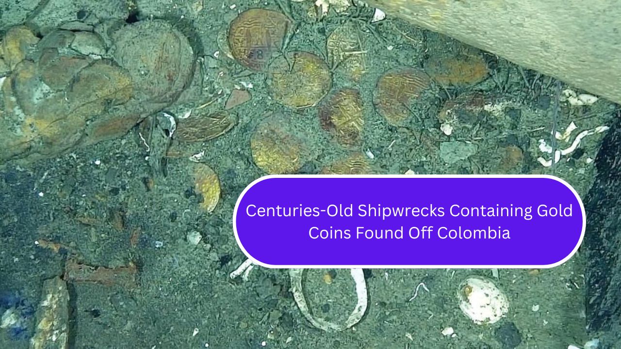 Centuries-Old Shipwrecks Containing Gold Coins Found Off Colombia