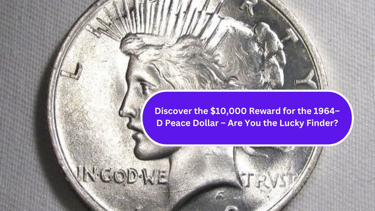 Discover the $10,000 Reward for the 1964–D Peace Dollar – Are You the Lucky Finder?