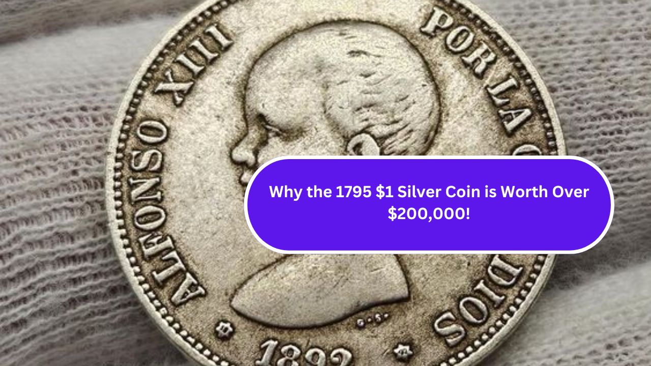 Why the 1795 $1 Silver Coin is Worth Over $200,000!