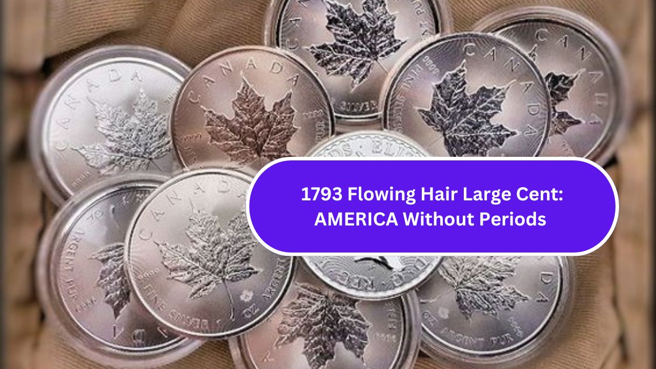 1793 Flowing Hair Large Cent: AMERICA Without Periods