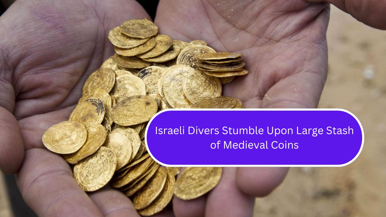 Israeli Divers Stumble Upon Large Stash of Medieval Coins