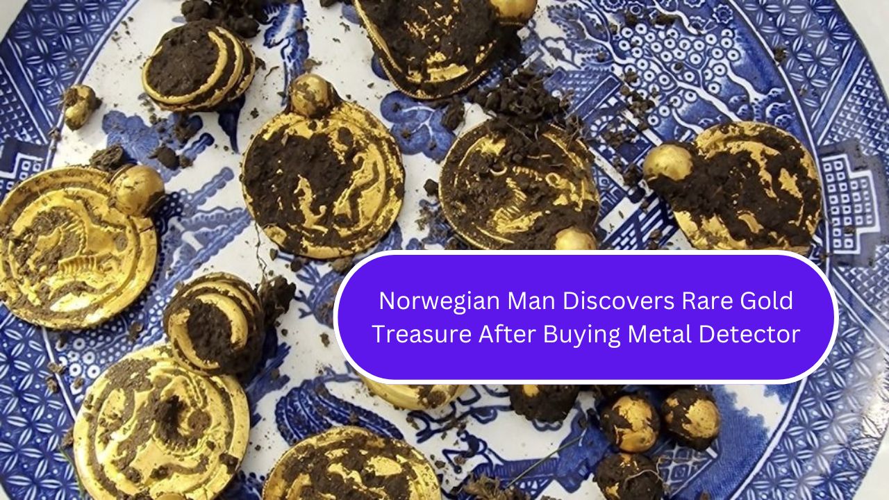 Norwegian Man Discovers Rare Gold Treasure After Buying Metal Detector